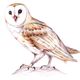 Illustration for article titled 15-year-old prodigy girl draws amazingly well emand/em trains falcons too